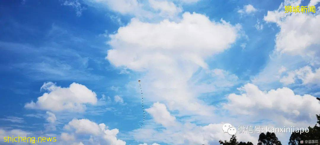 新加坡小众遛娃好去处,吃喝玩乐一应俱有