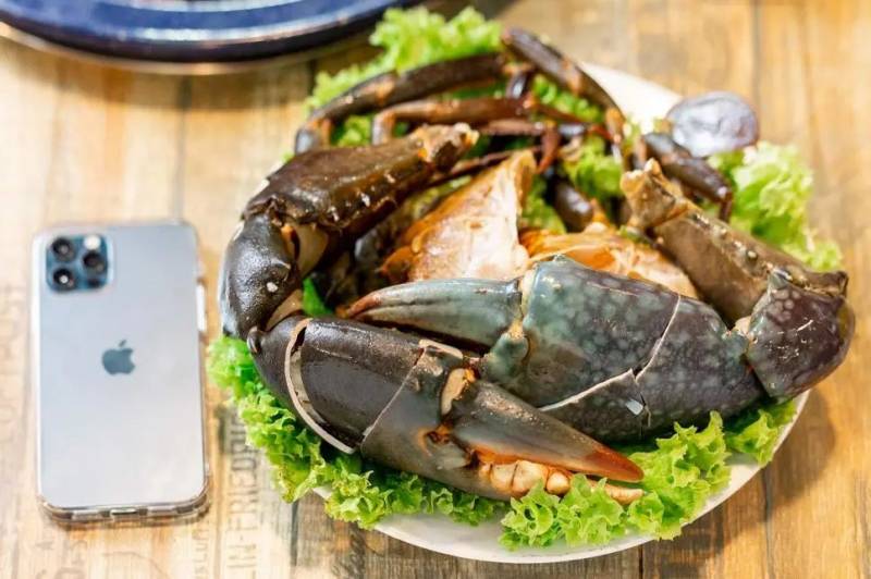 吃火锅自助就送烤鱼！好来屋年终劲爆福利已上线