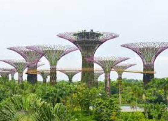 滨海湾花园又来搞活动了！快来看看吧