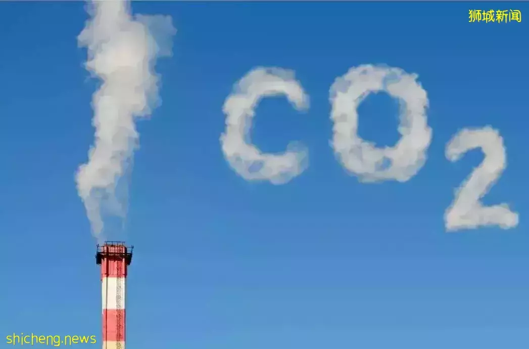 新加坡“碳中和”来收费,个人要分担多少“碳税”