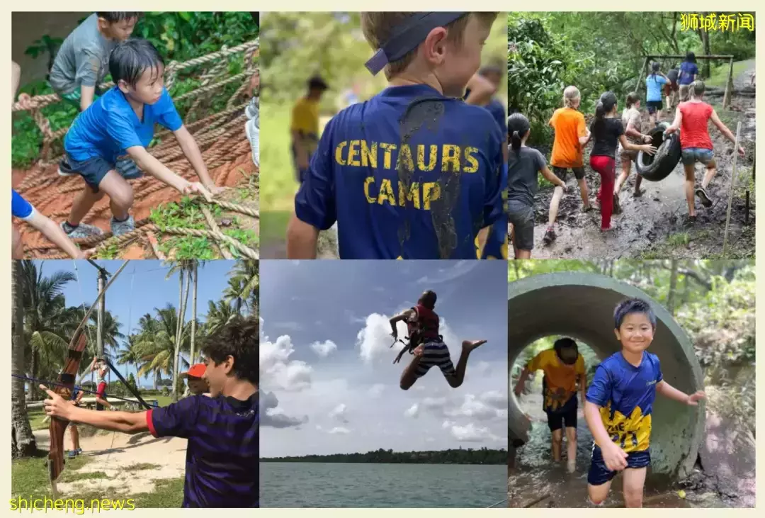 一直被問6月假期營！38個熱門：野炊、繪畫、圍棋、蹦床、編程、魔方、財商都有