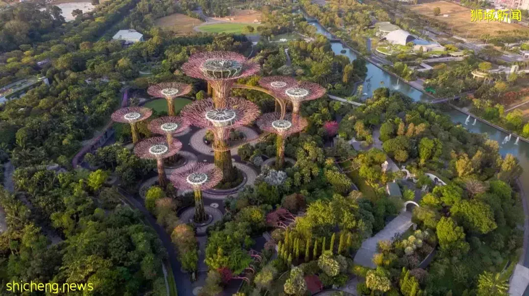 为什么推荐您以自雇模式登陆移居新加坡