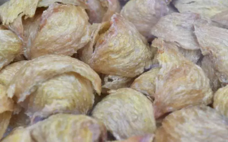 闯机场货运中心偷燕窝 搬运工被判监