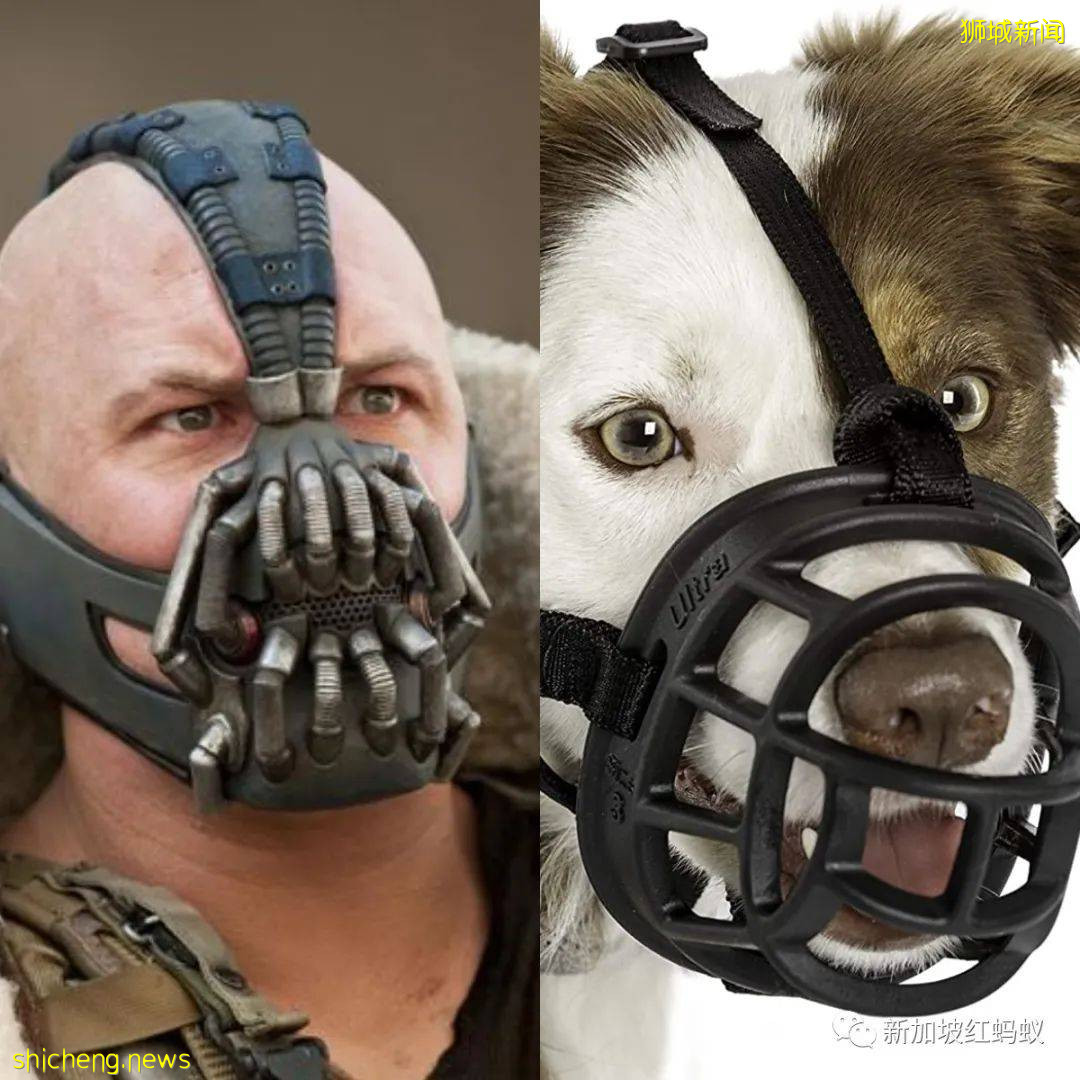 奥运会哪支参赛队伍的口罩最亮眼？　加拿大报章给中国队打了这个分数