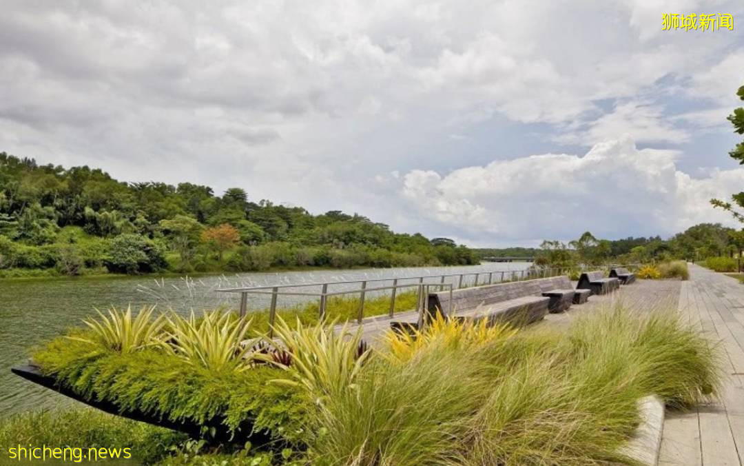 Npark对网红打卡点安装禁止入内标志，违者罚款2000新元