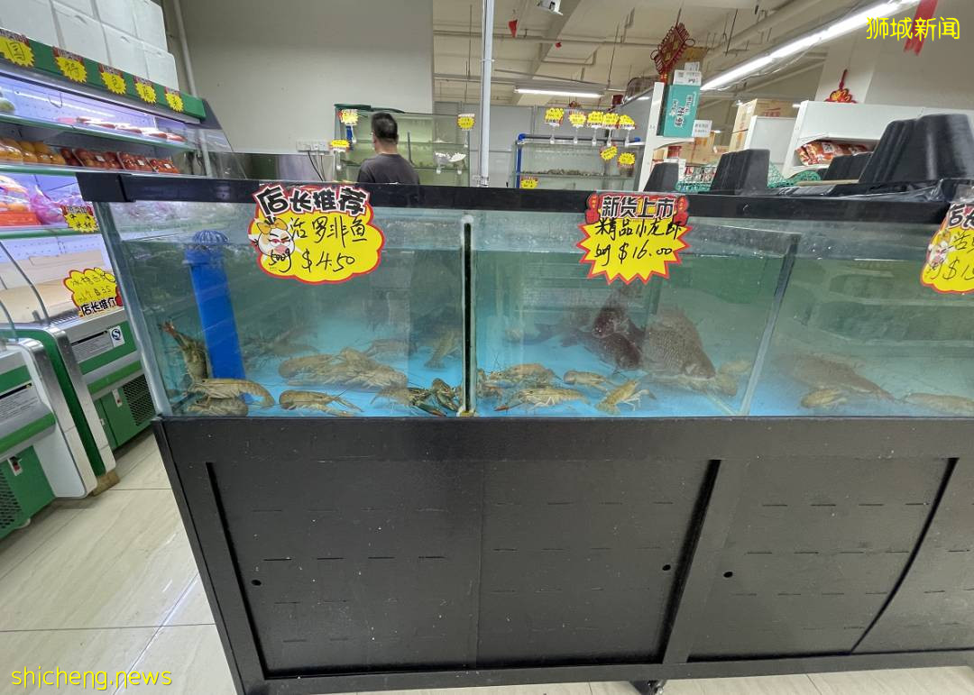 新加坡再次解封後，這家中國超市火了！80多種海鮮$2起！小龍蝦辣條包點東北大米扛回家