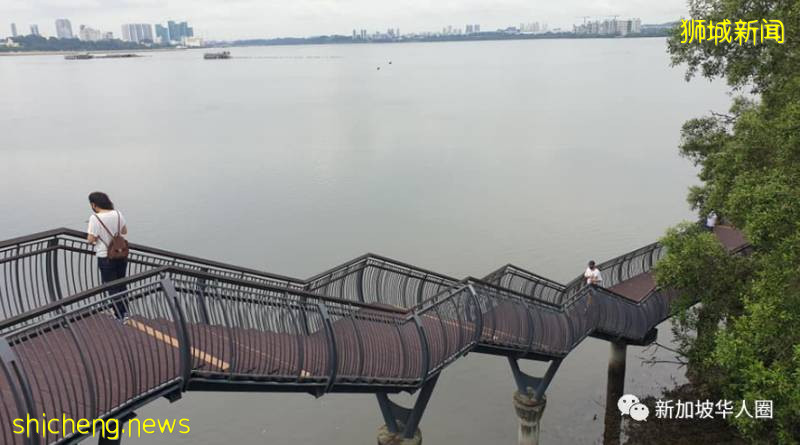 何時能從新加坡回家看家人，好久不見，你還好嗎？這麽近那麽遠!