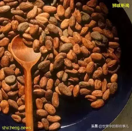 金龍魚、凱德集團竟然是新加坡公司?新加坡還有哪些産品在中國