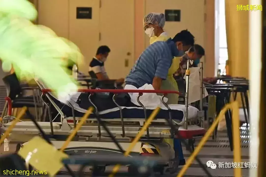 公共場所頻頻出現肢體沖突事件　新加坡人戾氣變重了