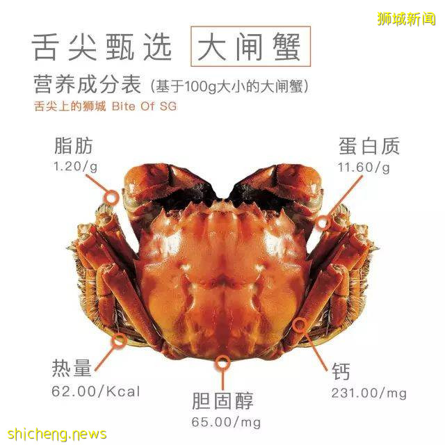 铛铛铛！萬衆期待的蟹中“小鮮肉”，舌尖六月黃大閘蟹登陸獅城啦