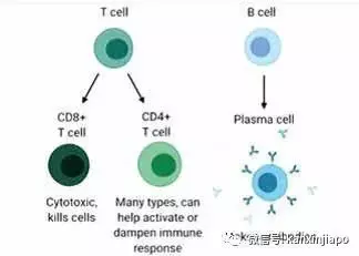 反反複複，新冠病毒生命力爲什麽如此“頑強”