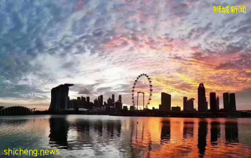 最近特別火的新加坡就業移民，PEF案例分析！精彩不容錯過