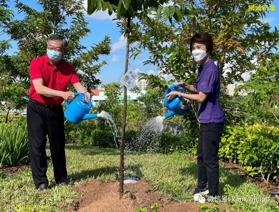 登高远眺，解锁新加坡新地标山丘步道、蝴蝶园和遛狗场