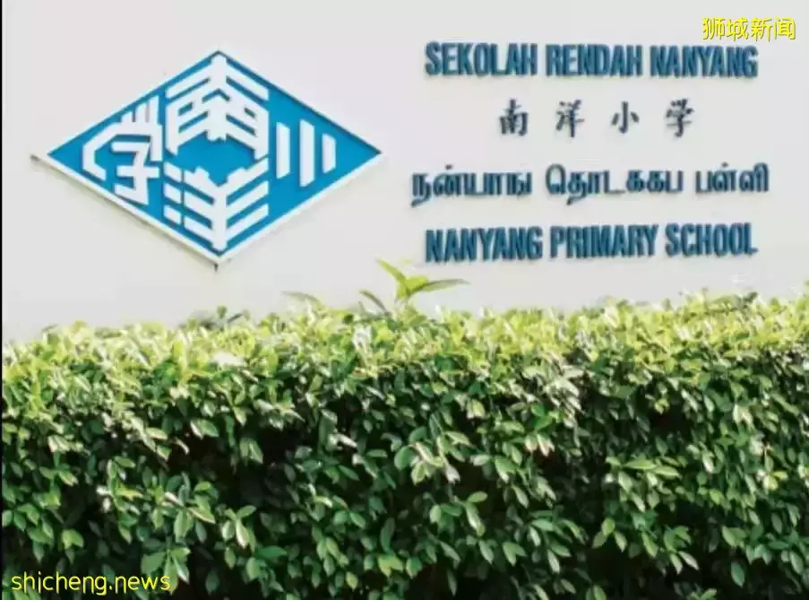 這篇文章，讓小學階段留學新加坡的學生，再也不用爲擇校而煩惱