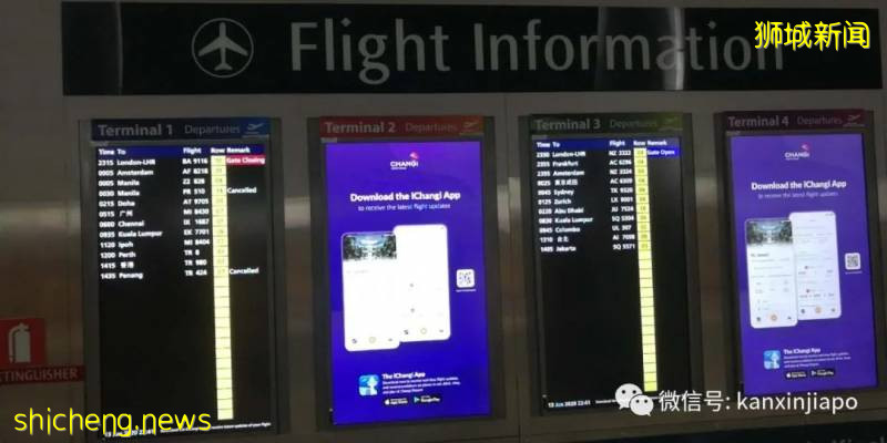 六月新加坡飛廣州,全副裝備全程實拍!