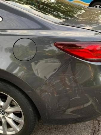 孔雀把汽车当“画板” 网赞:艺术家