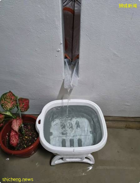 租屋居民搞创意, 走廊装雨伞免费收集雨水