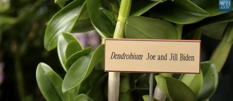 李顯龍發文祝賀拜登！拜登曾在新加坡街頭閑逛，買了一杯甘蔗汁