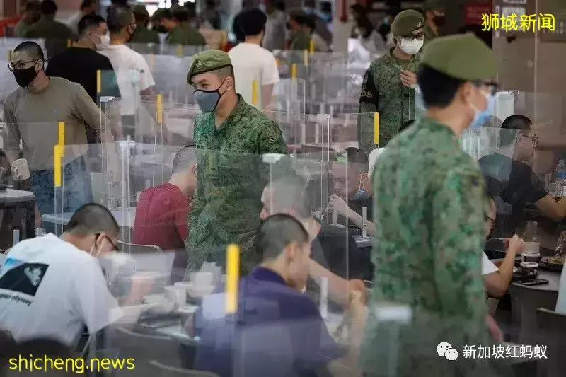 身为素食者在新加坡当兵不吃亏 军中素食餐盒颠覆你我想像