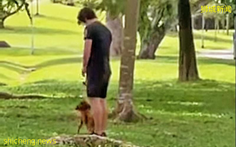 训狗手段过激 宠物训练中心挨轰