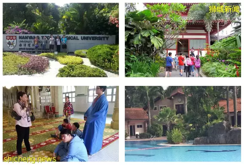 新加坡的K12教育你知多少