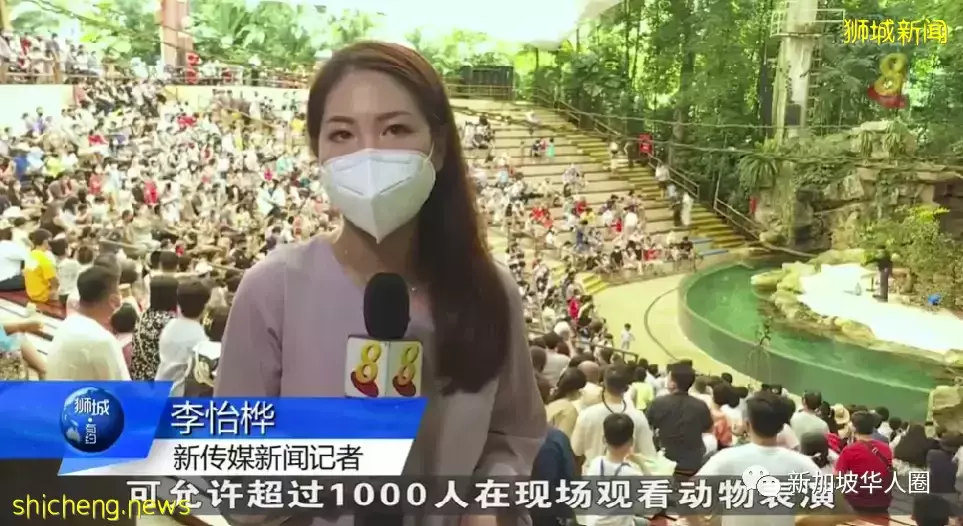 越“躺平”越繁荣?新加坡大解封万人聚会,出入境人潮爆满