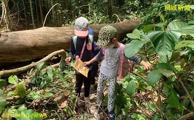 叢林探險、生存挑戰！新加坡戶外學校的6大假期營超級寶藏