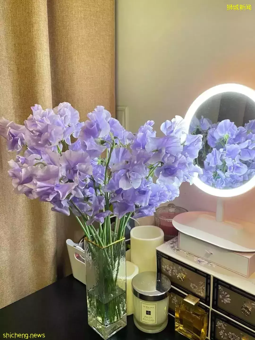 鮮花在熱帶也能養1個月？資深花友新加坡買花、養護大揭秘