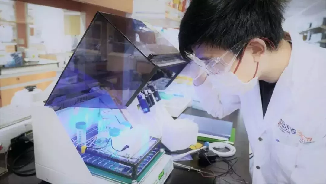 NUS 团队凭低成本生物农药在全球竞争中获得第二名