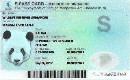 2021版申请PR最全攻略