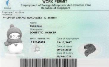 新加坡找工、换工，你一定要了解的事