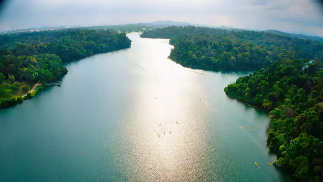 新加坡批准《區域全面經濟夥伴關系協定》