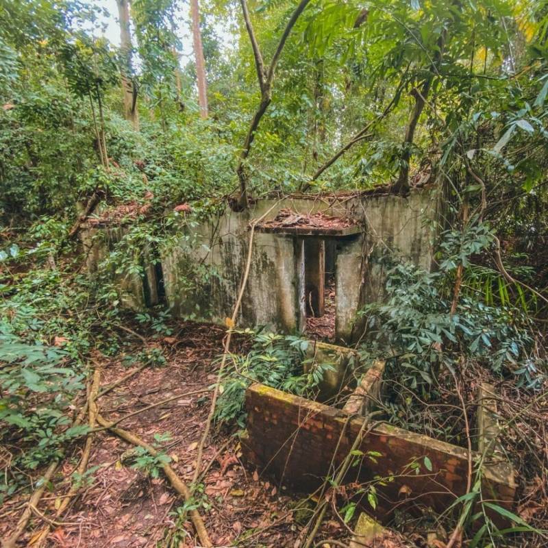 新加坡探险基地🧭 被遗弃的地堡!殖民期保留至今,岁月沧桑+攀藤弥漫的历史遗迹
