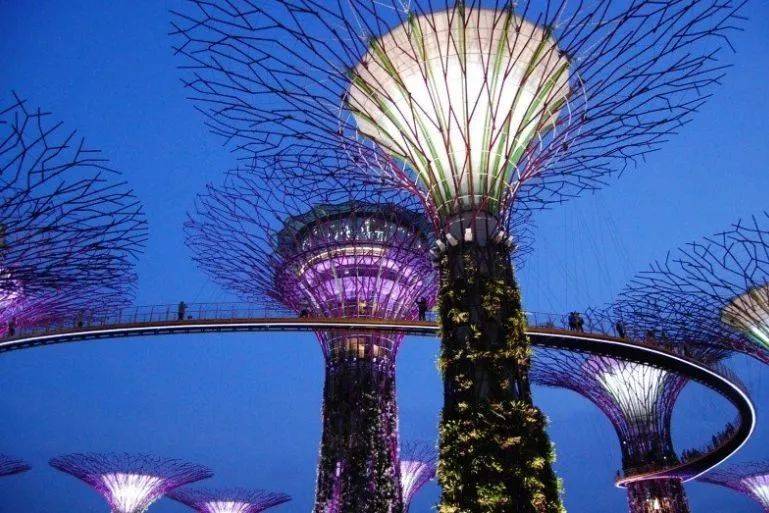 新加坡经济现十年新低 GDP增长预期下调几乎至零