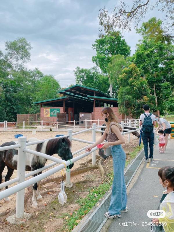 周末新玩法！新加坡騎馬好去處Gallop Stable🐎 一站式體驗活動！走進動物世界騎馬餵小兔🐰🐎