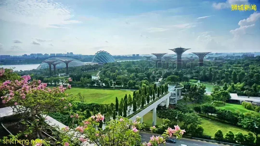 魅力獅城 上榜全球最健康城市的秘密