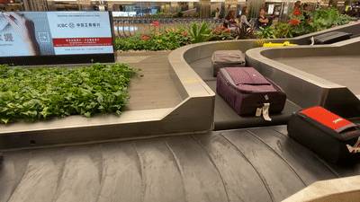 剛剛！新加坡在這方面超過美國和中國，全球第一！美國總統發帖表示不服