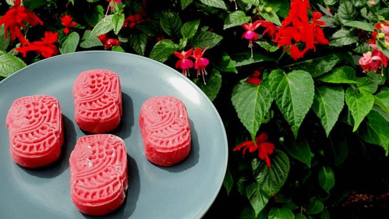 中秋節親子活動攻略！濱海花園、牛車水、晚晴園，最高$800現金獎勵哦