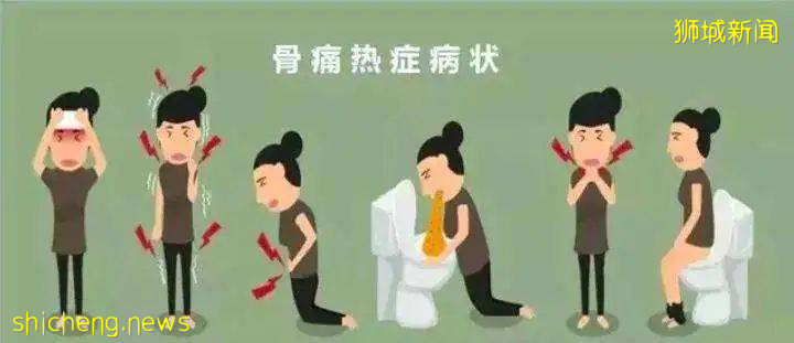 曆史新高！新加坡骨痛熱症累計10732例！死亡12例!