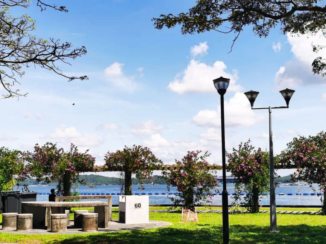 新加坡最好玩的海灘公園!趕海、騎馬、劃艇、樹籬迷宮、燒烤露營,超適合家庭出遊