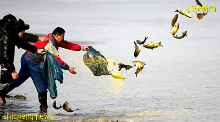 在新加坡,這些事情可不能做