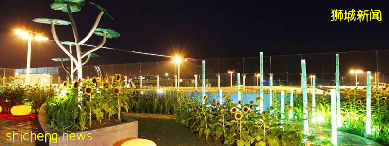 “花園裏的機場”都有哪些花園呢!