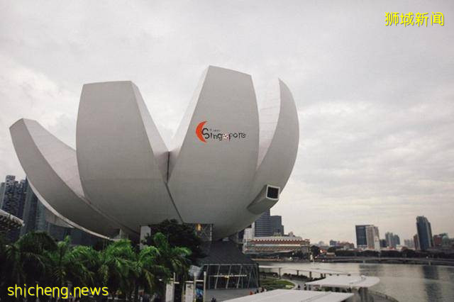 在摩天轮上看新加坡夜景是什么样子的