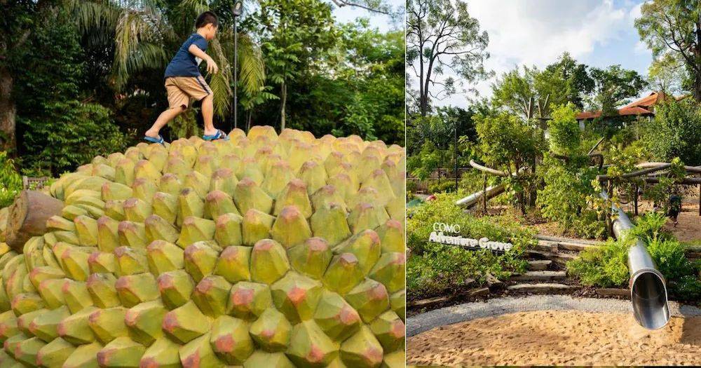 溜娃新去處!新加坡植物園推出新景點!COMO小樹林、巨型波羅蜜、探秘館、藝廊開放啦