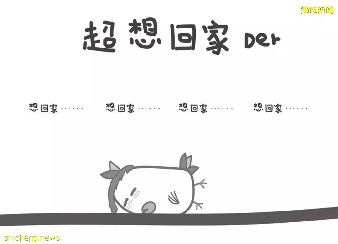 新加坡本地人推荐的粽子！老字号VS新网红，到底哪家值得买