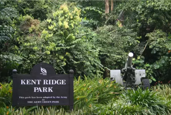 超高性價比！離市區超近的寶藏項目即將漲價？！你還在等什麽？ Normanton Park 鑫悅府