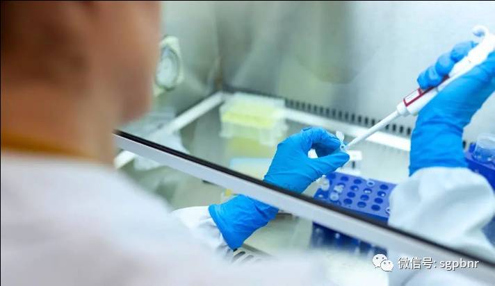 新加坡1月制造業産出同比增長8.6%，值得關注的都在這裏