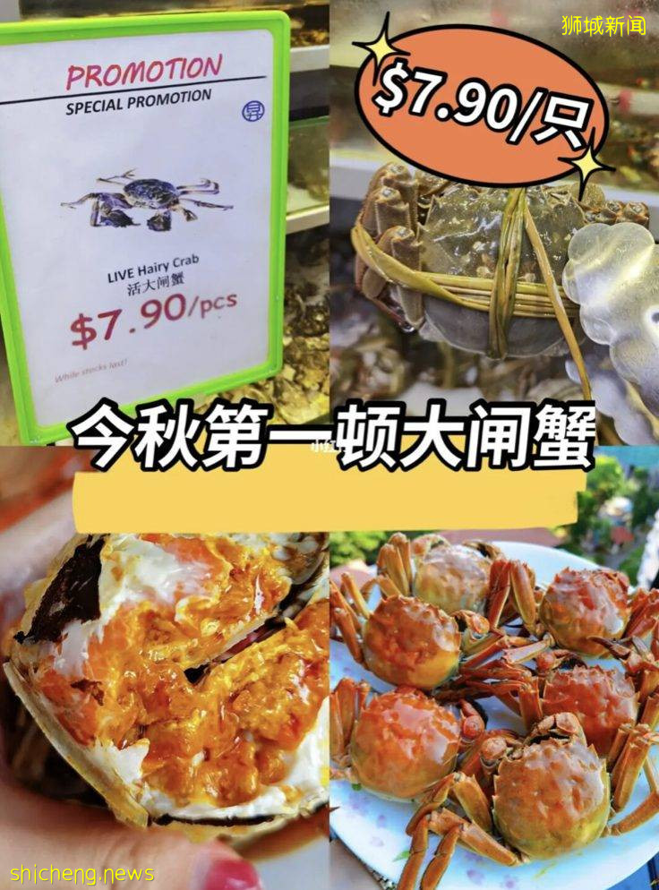 秋风起蟹脚痒，新加坡吃大闸蟹完全攻略！在家吃or店里吃全部都有