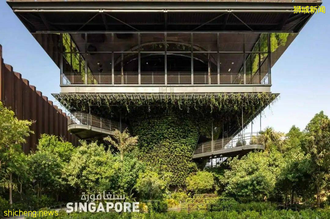 獅城熱點 “2020迪拜世博會”，新加坡化身沙漠綠洲