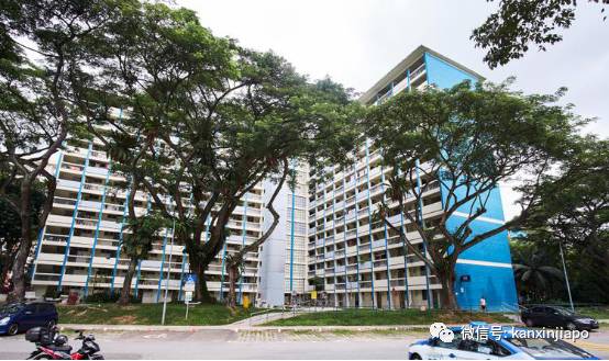 50多年老树轰然倒地,被毁车辆面目全非